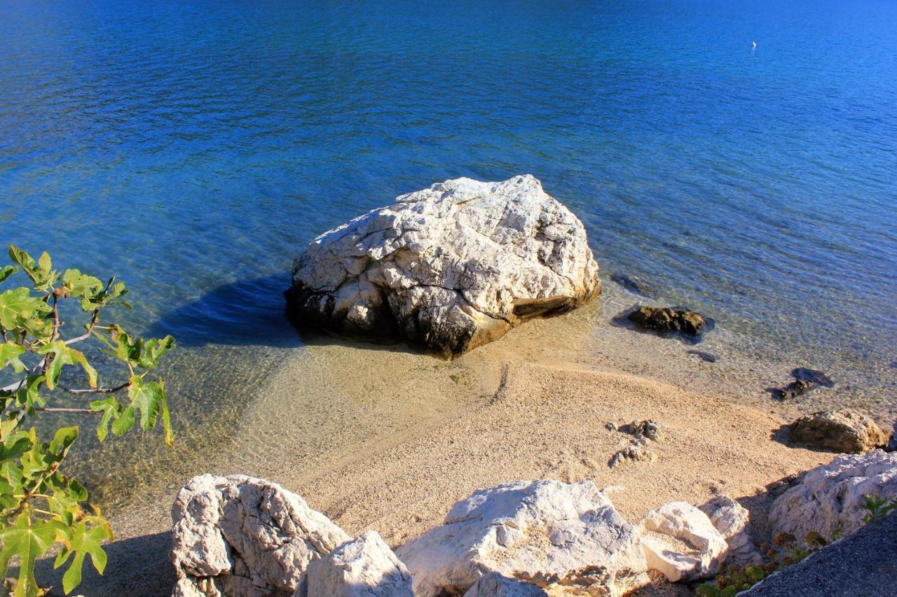 Apartments And Rooms By The Sea Slano, Dubrovnik - 8737 Bagian luar foto